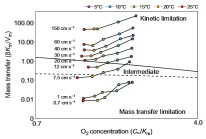 kinetic vs. mass transfer